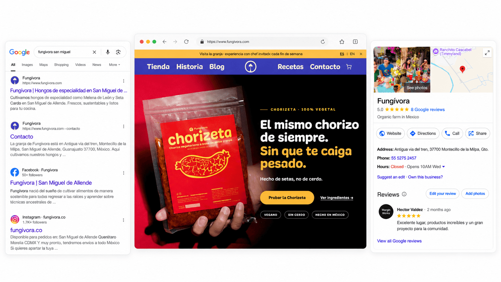 Professional website